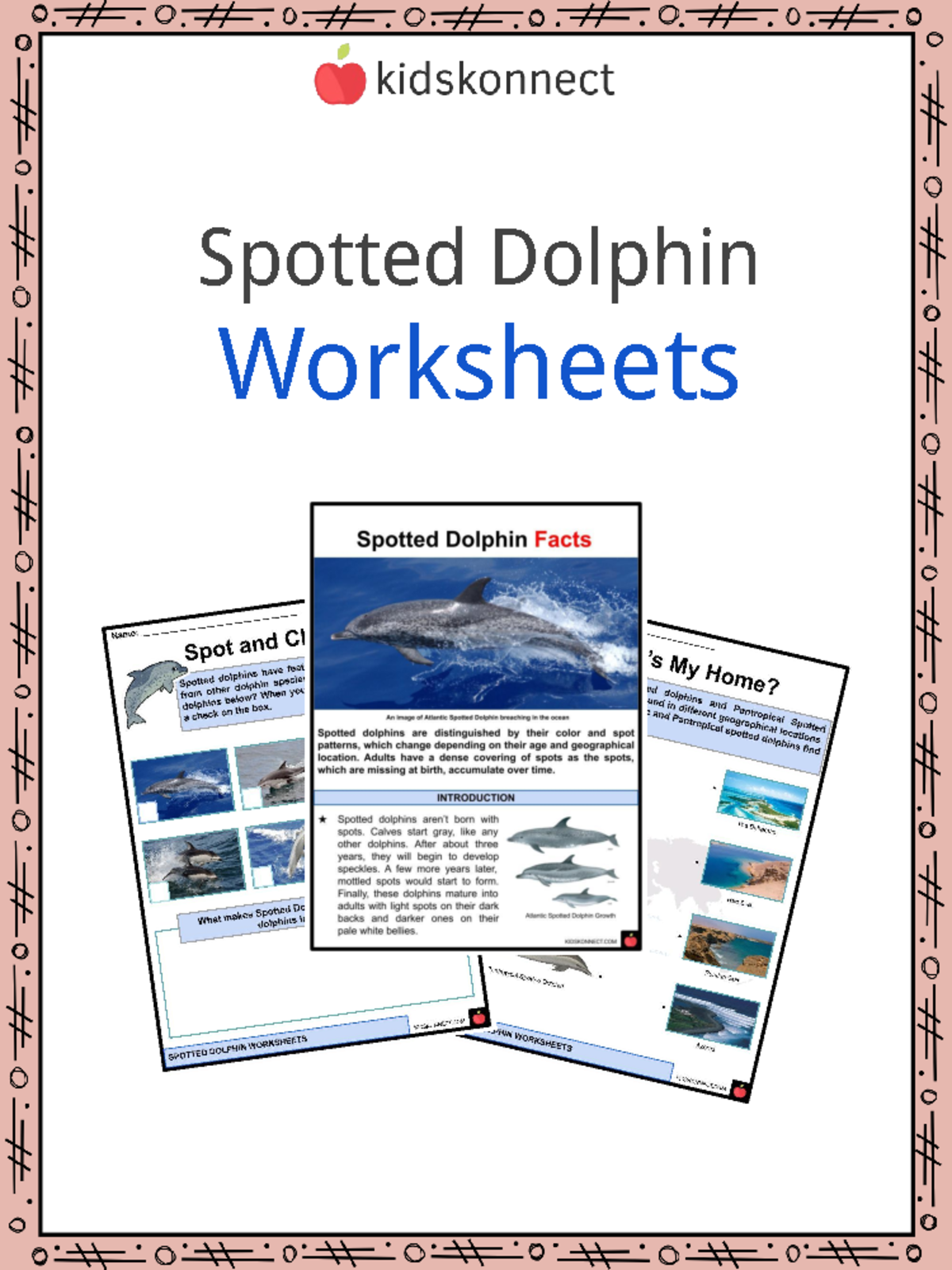 Spotted Dolphin Worksheets Sample - Spotted Dolphin Worksheets Free ...