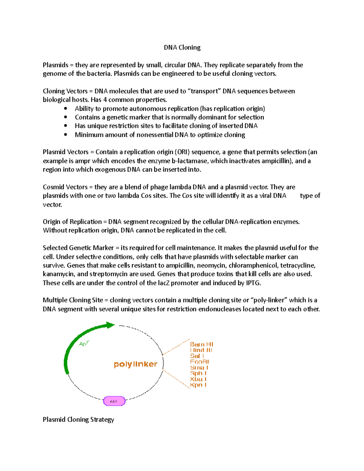 DNA Cloning Notes for Professor Gracz's Molecular Biotechnology class