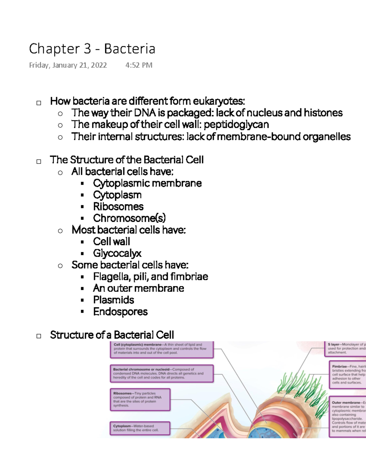 Chapter 3 - Bacteria - Introduction To Microbiology With Sarah Sletten