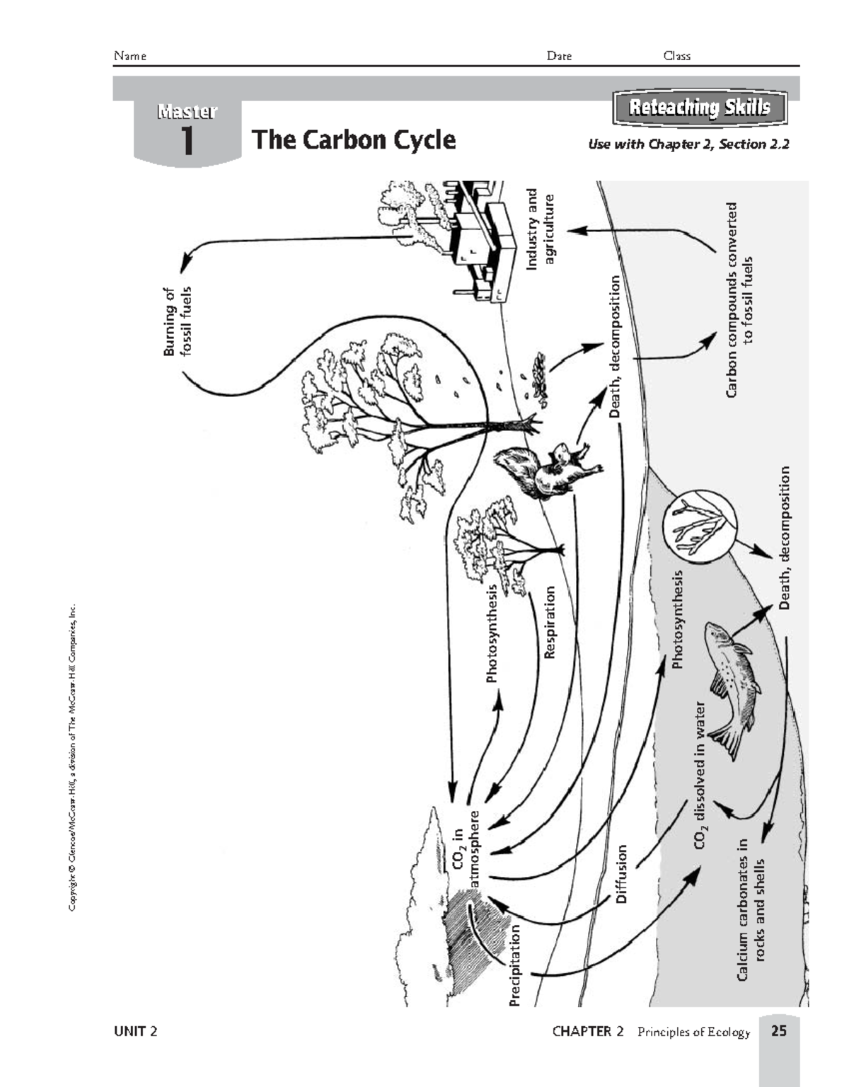 Carbon Cycle Worksheet - UNIT 2 CHAPTER 2 Principles of Ecology 25 ...