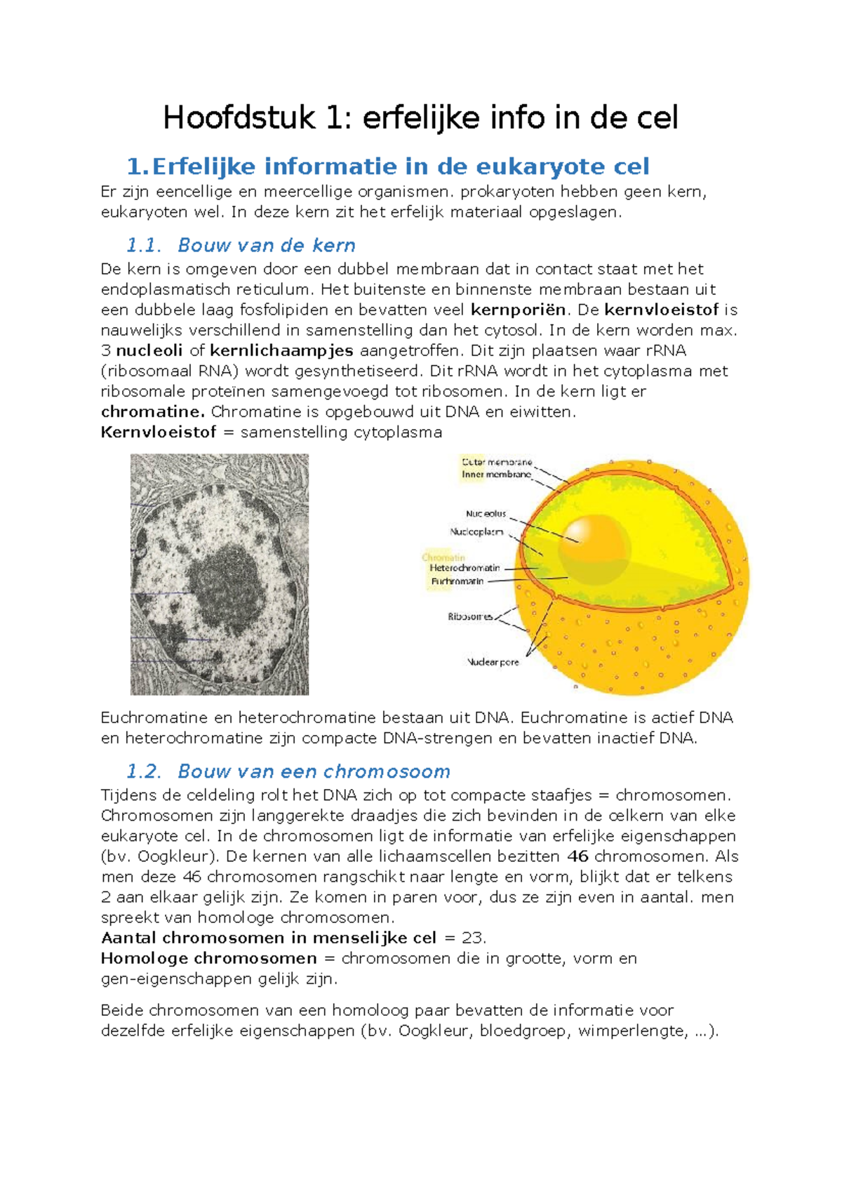 Hoofdstuk 1 - Samenvatting - Hoofdstuk 1: Erfelijke Info In De Cel 1 ...