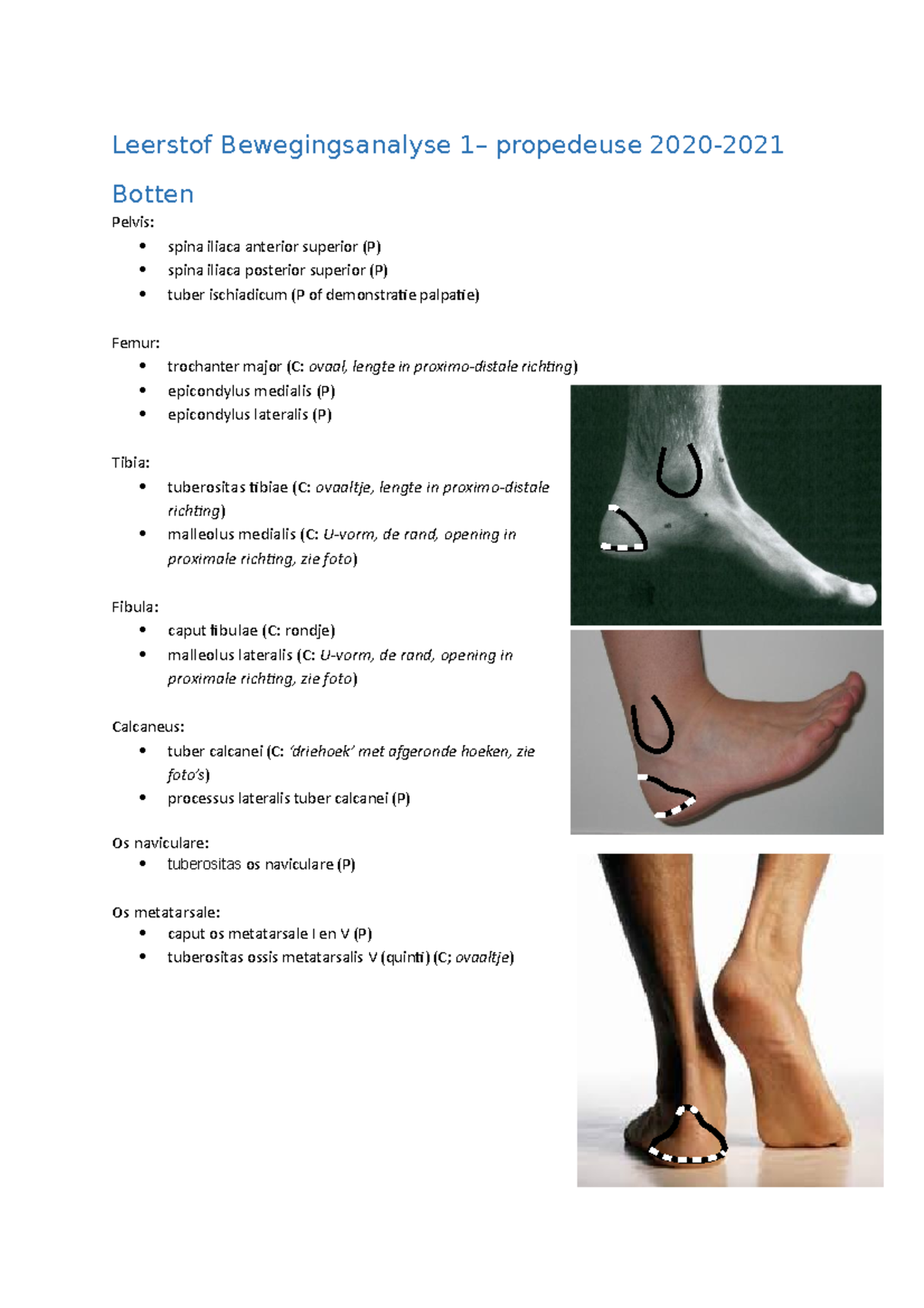 Anatomie Van Bewegingsanalyse Blok 1 Van Haagse Hogeshool - Leerstof ...