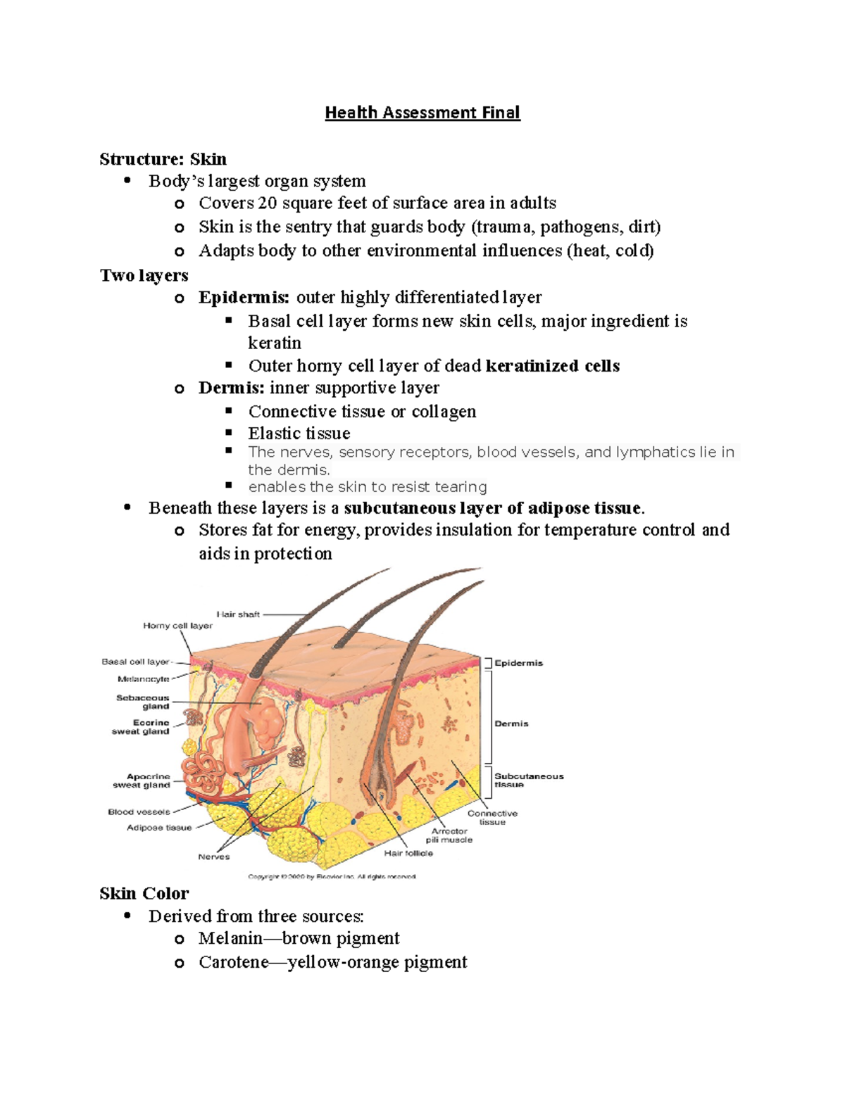 Health Assessment Final - Health Assessment Final Structure: Skin Body ...