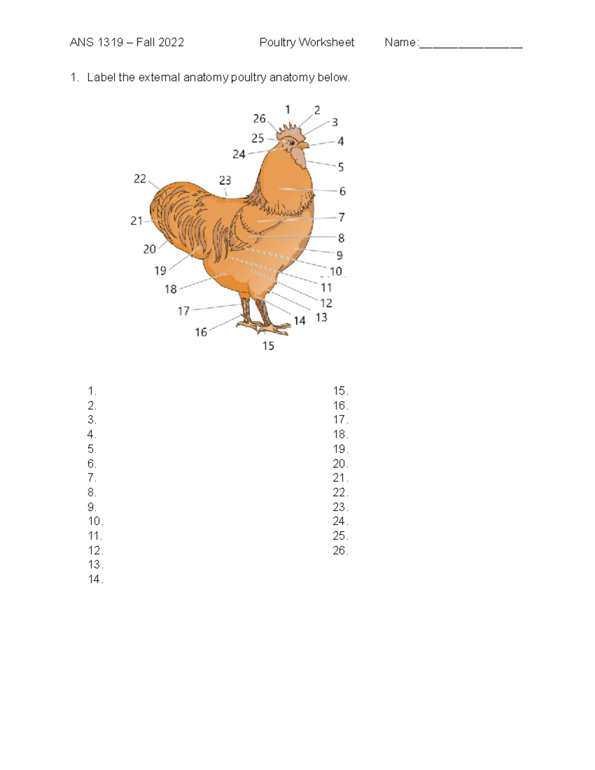 ans1319-fall2022-assignment-7-poultry-worksheet-label-the-external