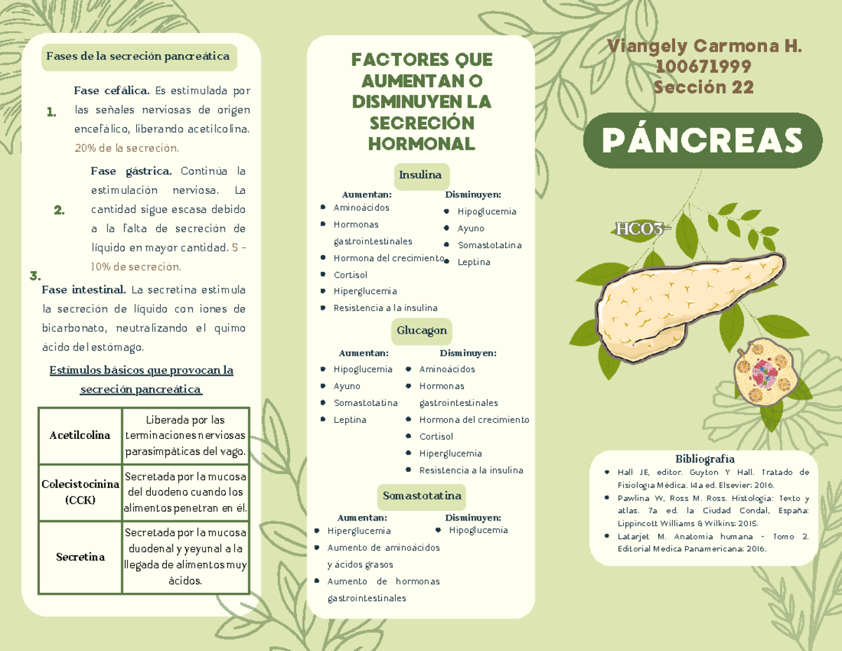 Folleto Páncreas - Notes - Fase intestinal. La secretina estimula la ...