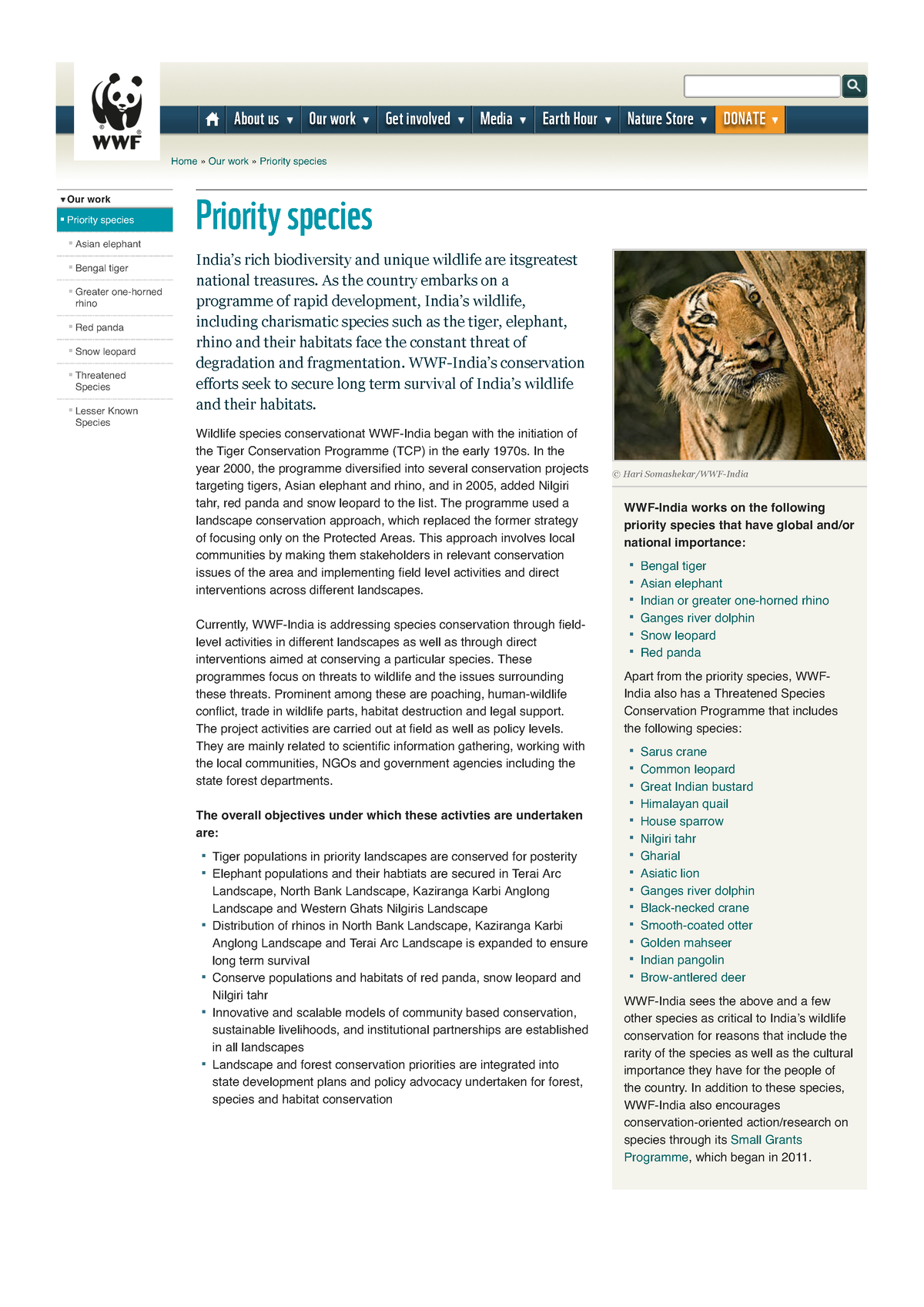 priority-species-wwf-india-our-work-priority-species-priority-species