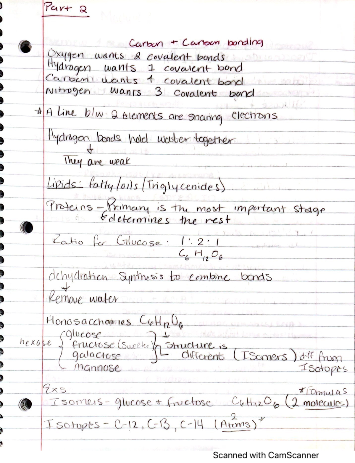 20 - Biology Notes 22 - Bio 101 - Studocu