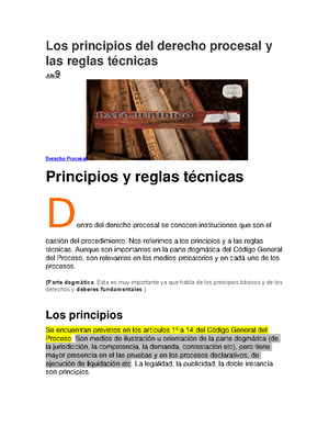 Los Principios Del Derecho Procesal Y Las Reglas Tecnicas Nos Referimos A Los Principios Y A Las Studocu
