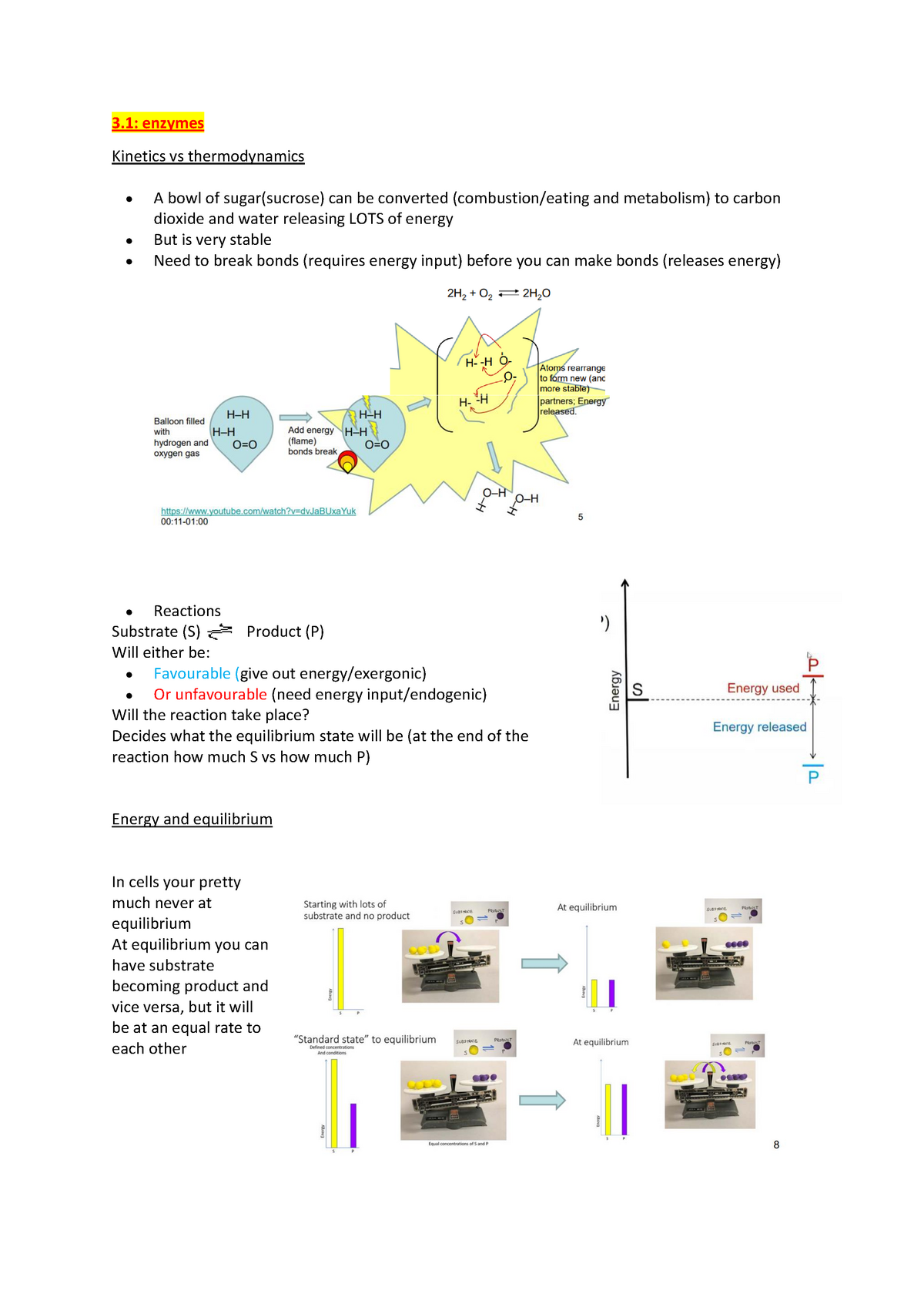 Biol1007 Lectures 5 And 6 - Warning: TT: Undefined Function: 32 Warning ...