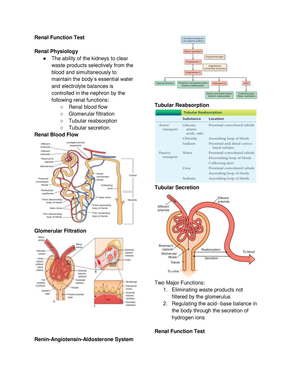 assignment on renal function test