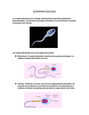 DPCC2B-U7-S1 - SESION DE APRENDISAJE DE ESPACIOS PUBLICOS ...