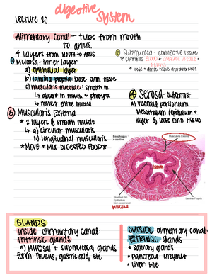 Bio 315 Exam 4 Fall 2023 - Fourth Exam Of Bio 315 For Fall 2023 -?+ B?t ...