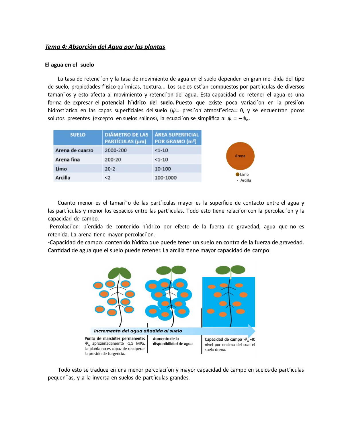 Vegetal Tema 4 Lll Tema 4 Absorción Del Agua Por Las Plantas El Agua En El Suelo La Tasa De 0952