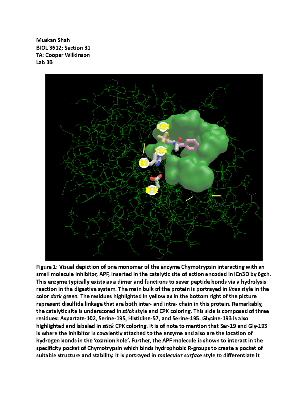Lab3B-Biochemistry - Muskan Shah BIOL 3612; Section 31 TA: Cooper ...
