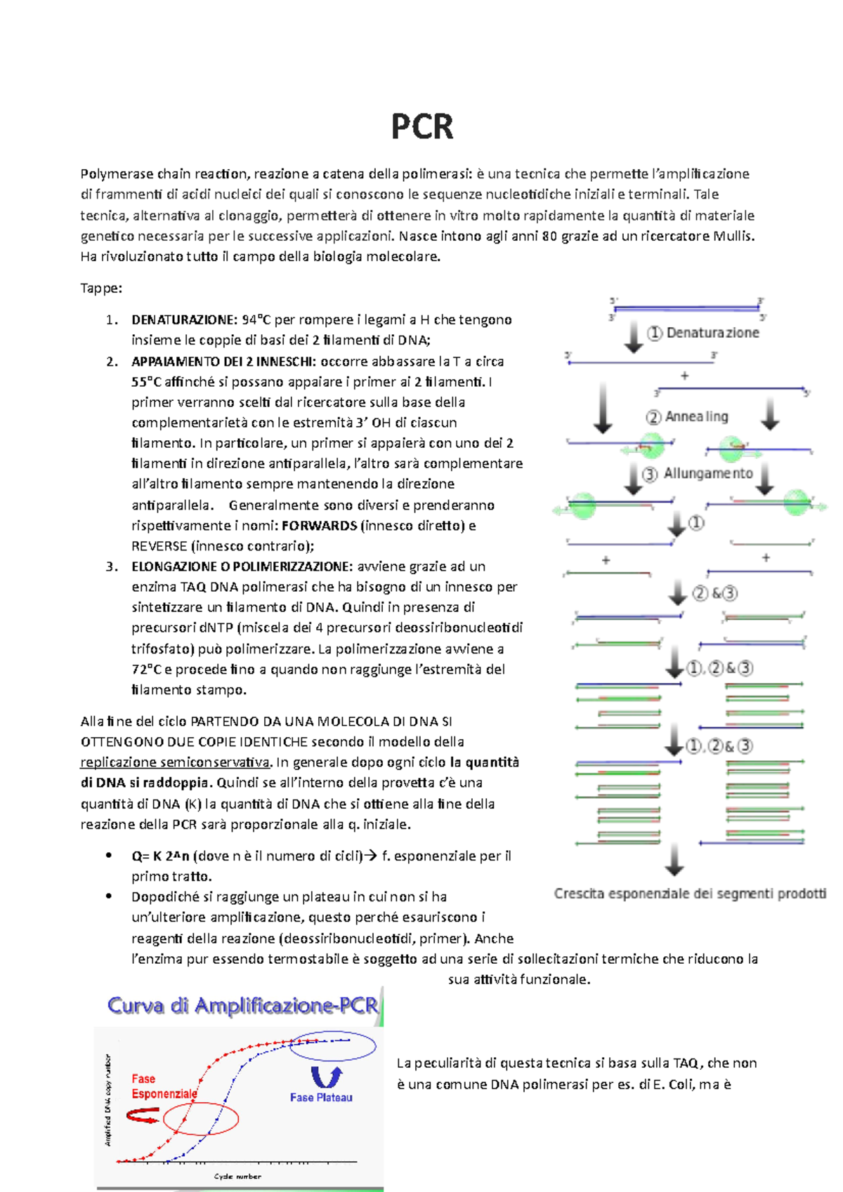 PCR, appunti di lezione di laboratorio - PCR Polymerase chain reaction ...