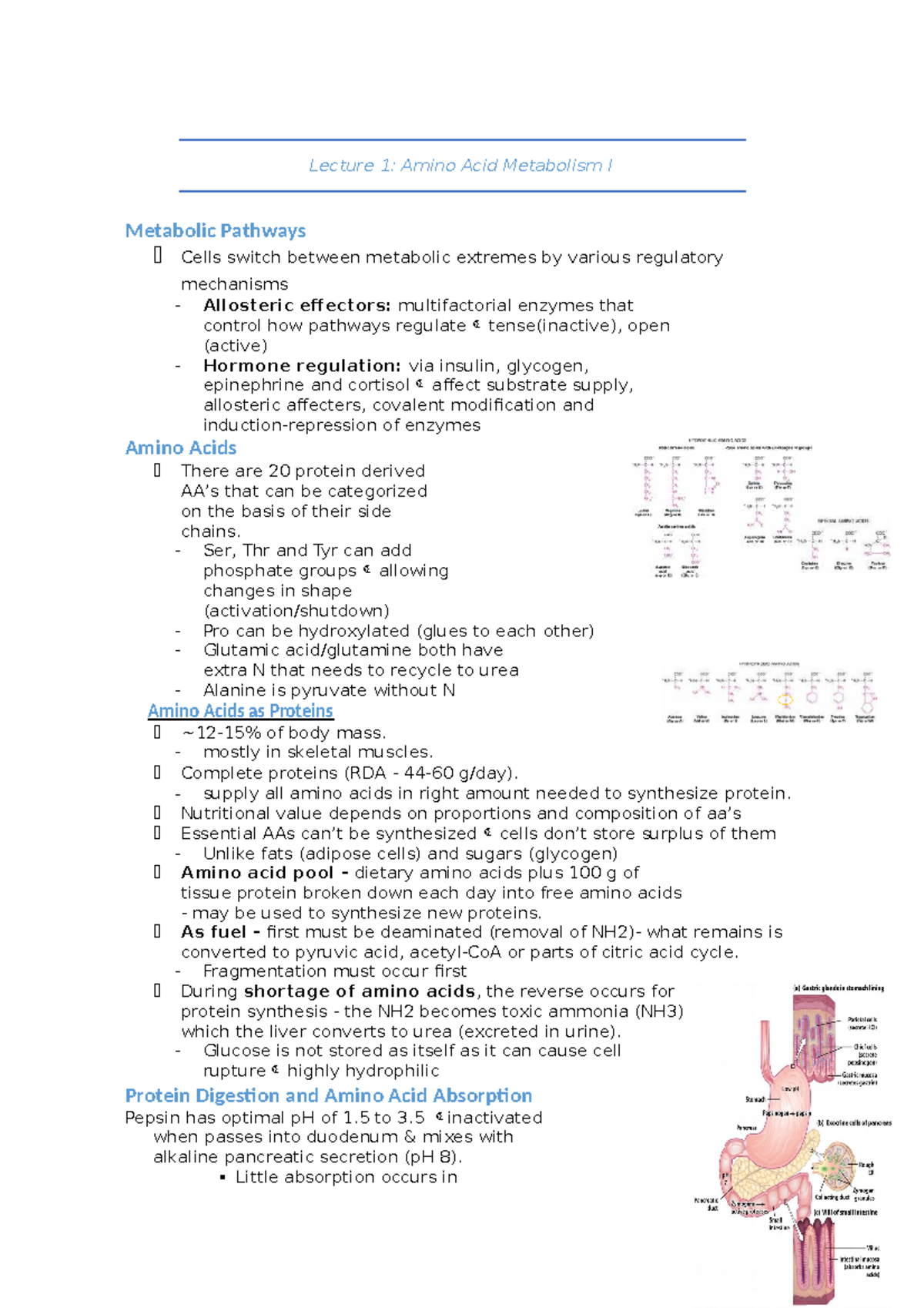 Lecture 1 metabolism - Lecture 1: Amino Acid Metabolism I Metabolic ...