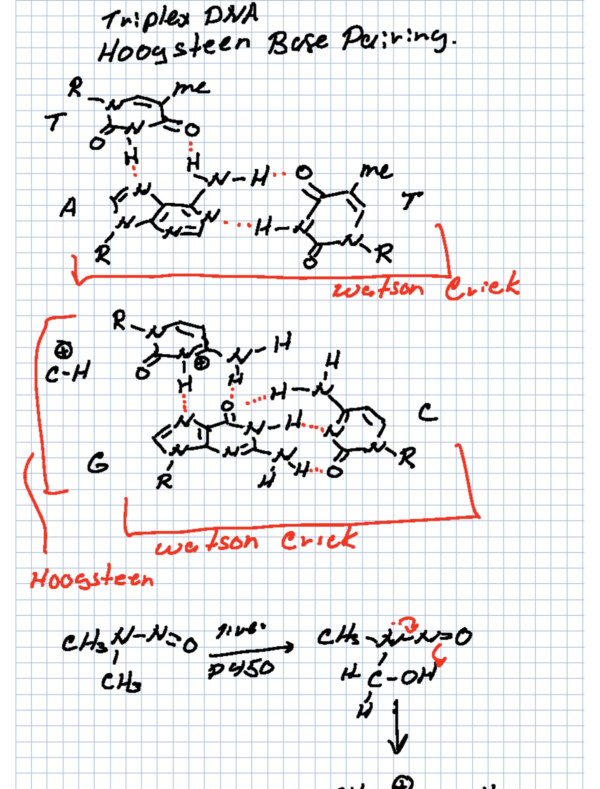 4th Lecture - Unit 1-4 - Triplex DNA Hoogsteen Base Pairing R me F T o ...