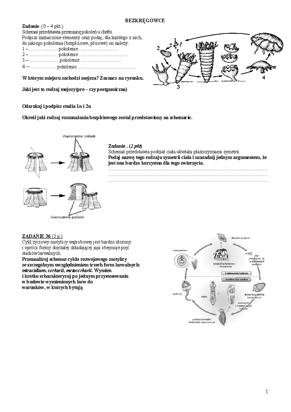 Bezkręgowce - BEZKRĘGOWCE Zadanie (0 – 4 pkt.) Schemat przedstawia