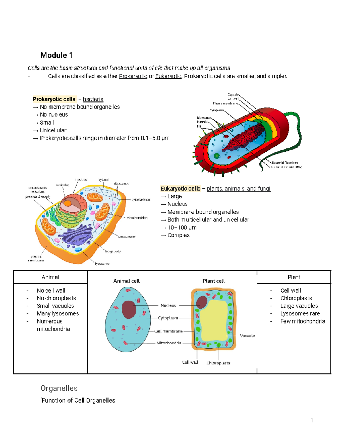 Biology Prelims - Module 1 Cells Are The Basic Structural And ...