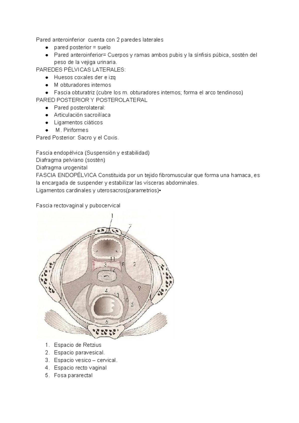 fosa pararrectal