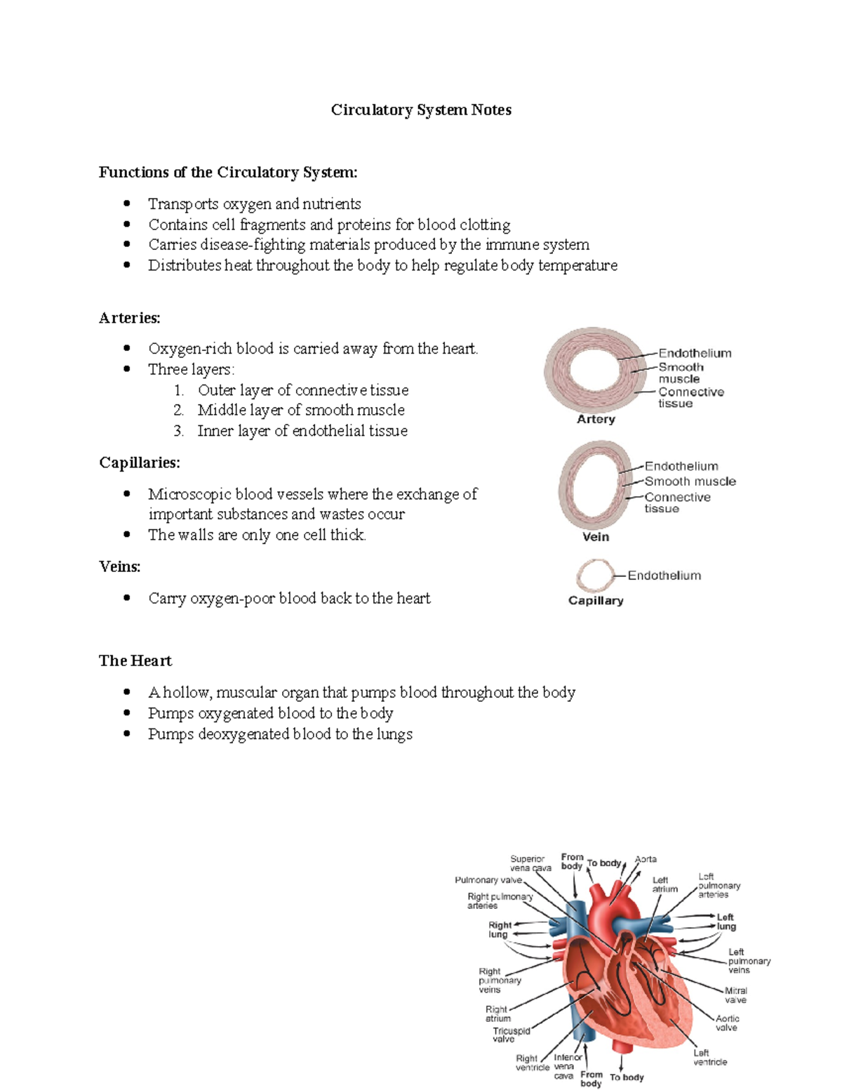 Circulatory System Notes - Circulatory System Notes Functions of the ...