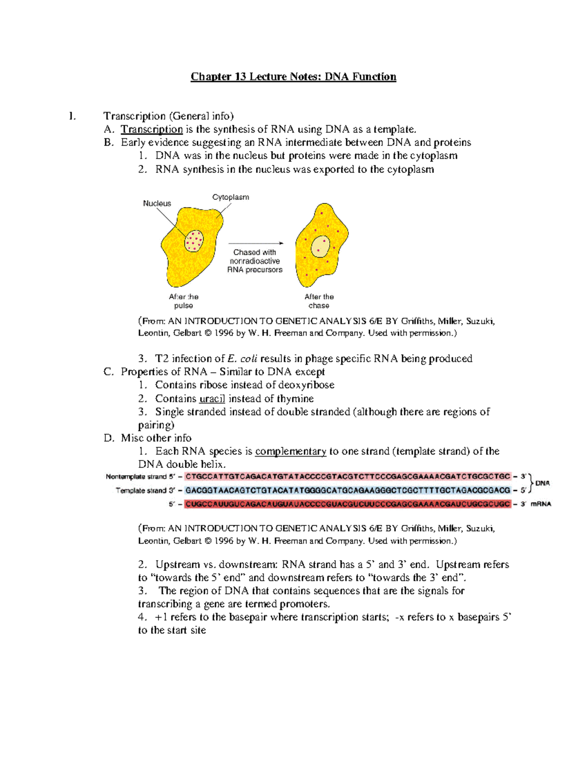 Chapter 13 - It's a practice material - Chapter 13 Lecture Notes: DNA ...