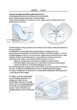 Casus 2 - Casus 2 Wat is de anatomie en histologie van de maag Vanuit ...