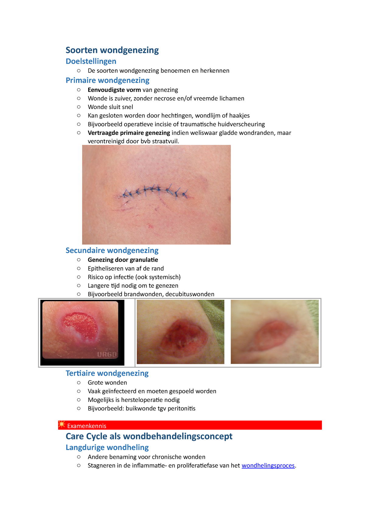 Wondzorg - Soorten Wondgenezing Doelstellingen O De Soorten ...