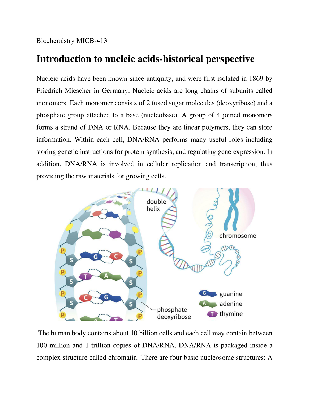 term paper on nucleic acid