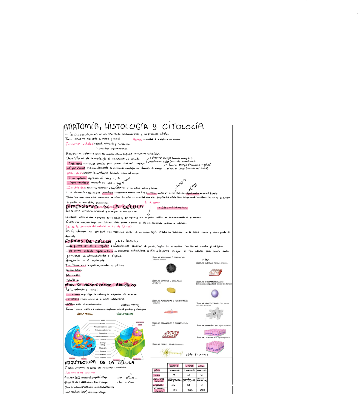 Biología Apunte - BIOLOGIA CELULA - Bases Biologicas - Studocu