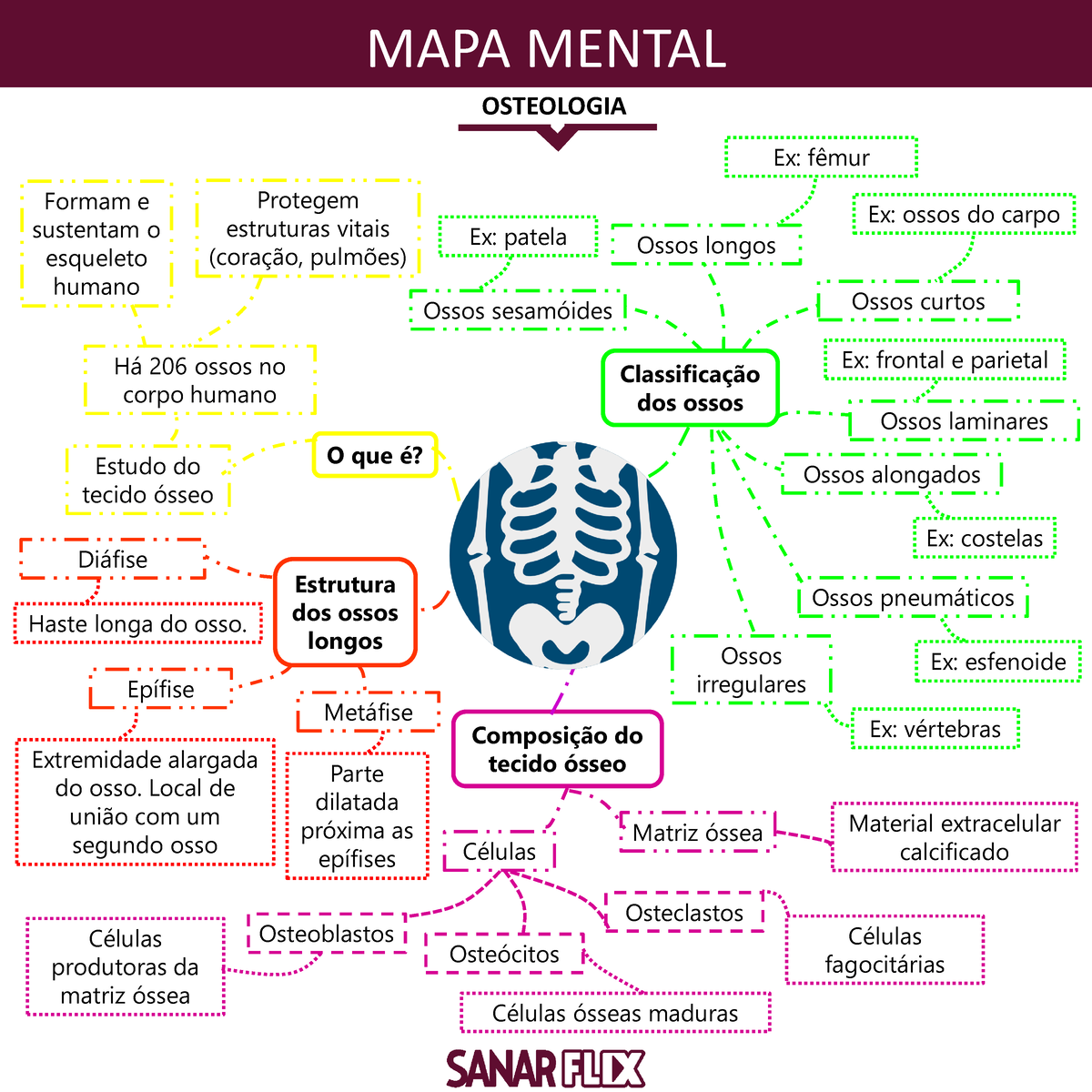 Mapa Mental Osteologia Mapa Mental Osteologia O Que È Estrutura Dos