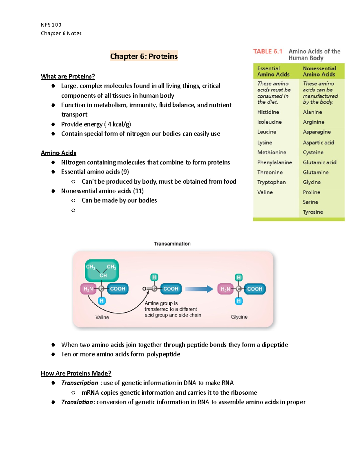 NFS 100 Chapter 6 Notes - Nutrition, Foods, and Science Lecture ...