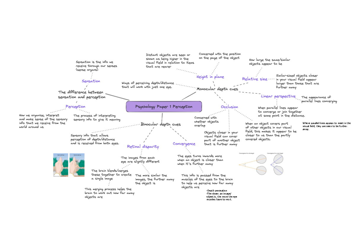 Perception 1mm - AQA psychology GCSE - Studocu