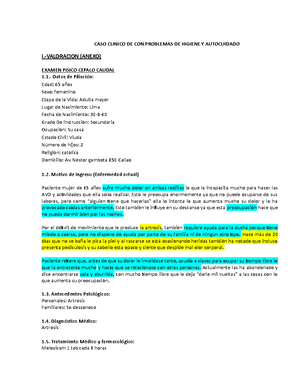 Técnicas de comunicación verbal - D I A G N O S T I C O E I N F O R M E