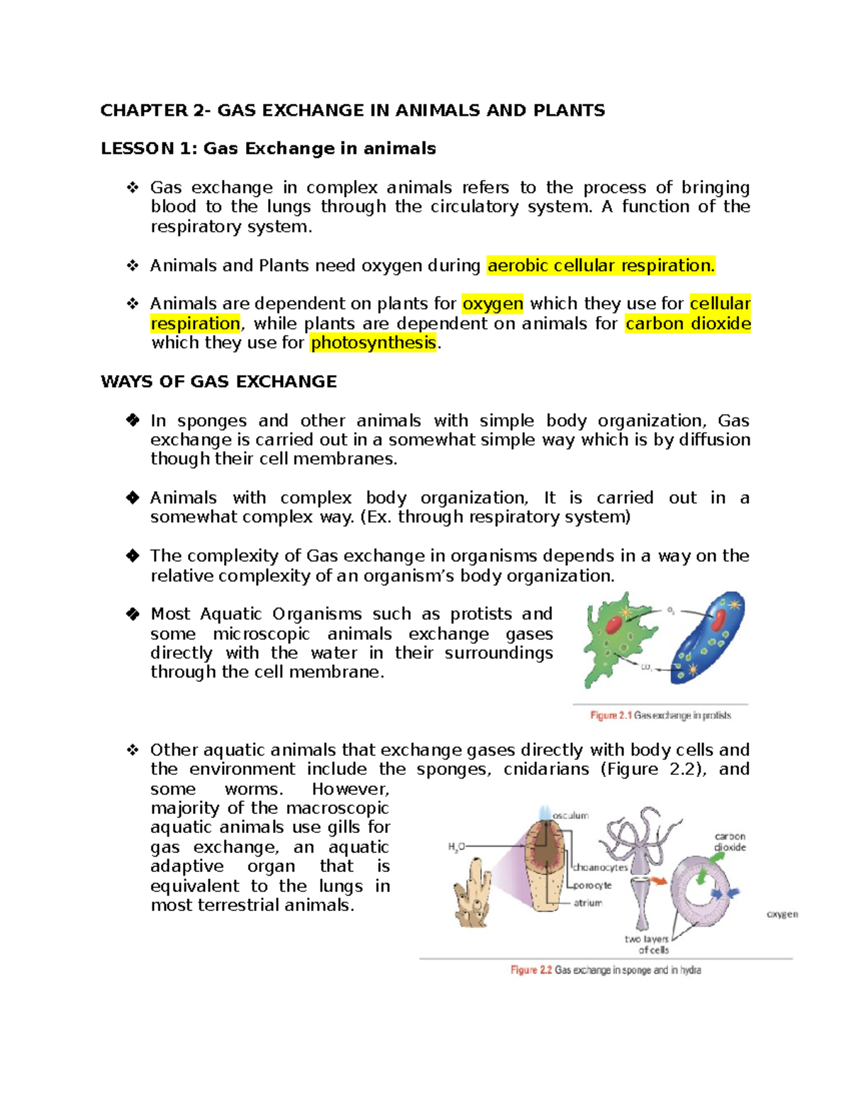 chapter 2 gas exchange case study