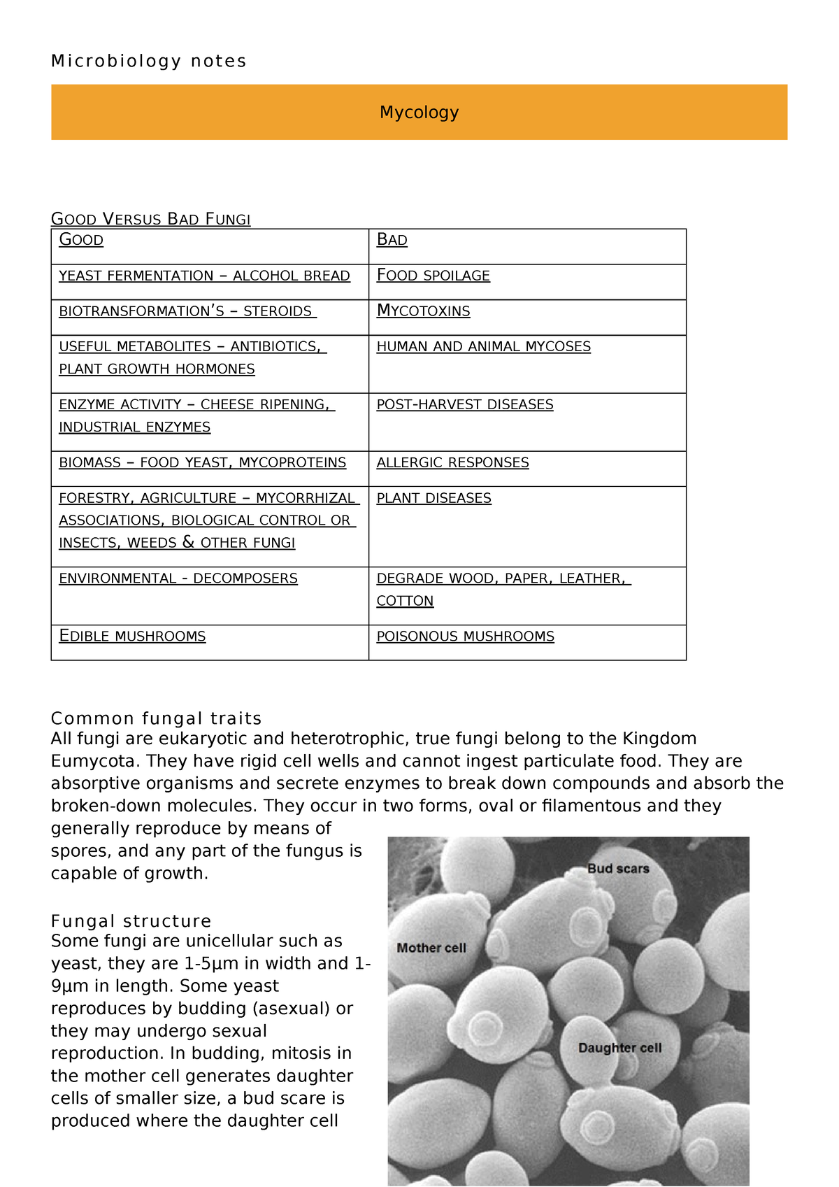 Microbiology notes - Mycology - M i c r o b i o l o g y n o t e s ...