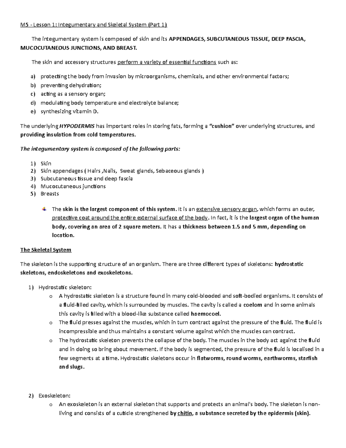 Integumentary and Skeletal System (Part 1) - The skin and accessory ...