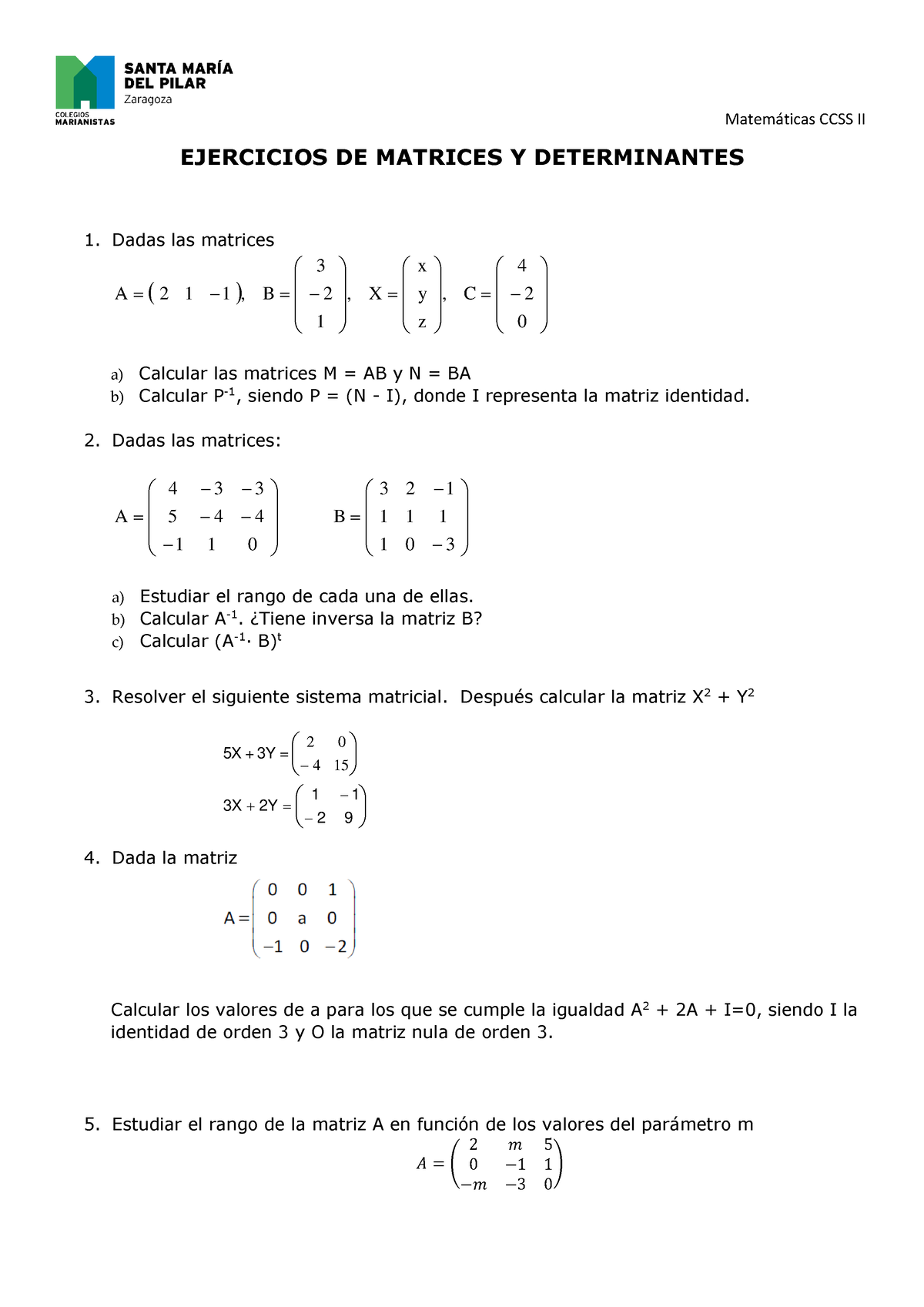 Ejercicios De Matrices Y Determinantes - Matem·ticas CCSS II EJERCICIOS ...