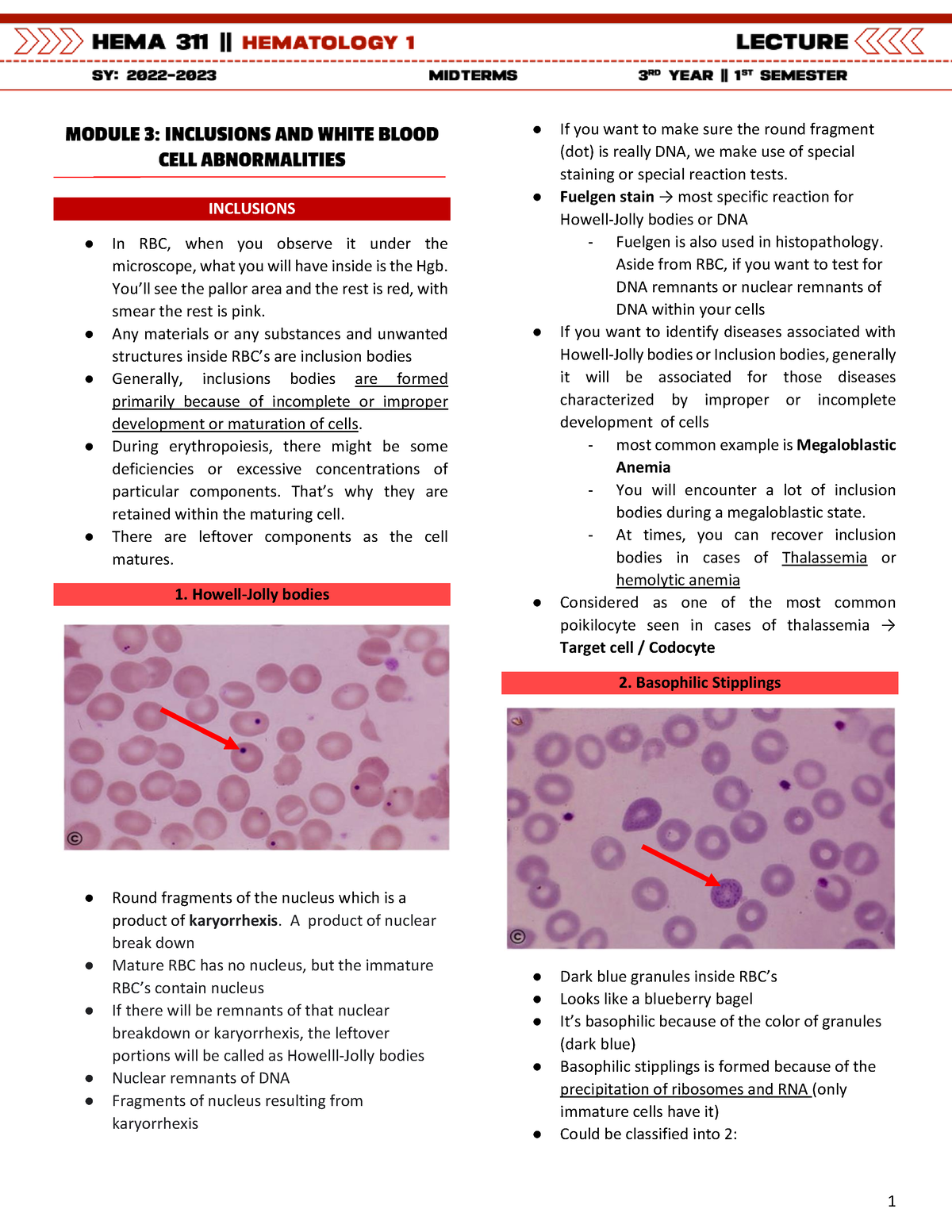 Abnormalities - HEMA311 - Medical Laboratory Science Program - OLFU ...