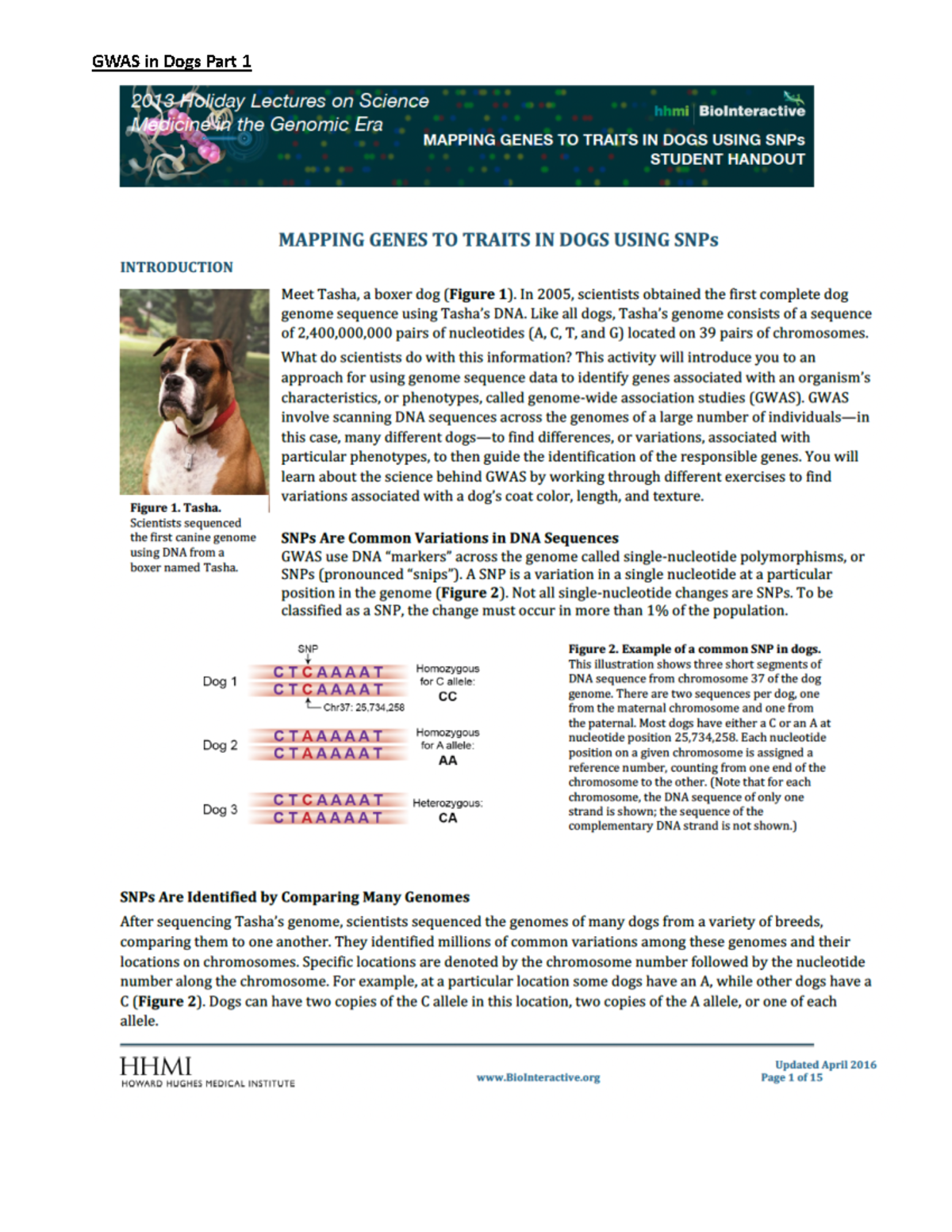 GWAS in Dogs Complete Handout - GWAS in Dogs Part 2 Let’s explore how a ...