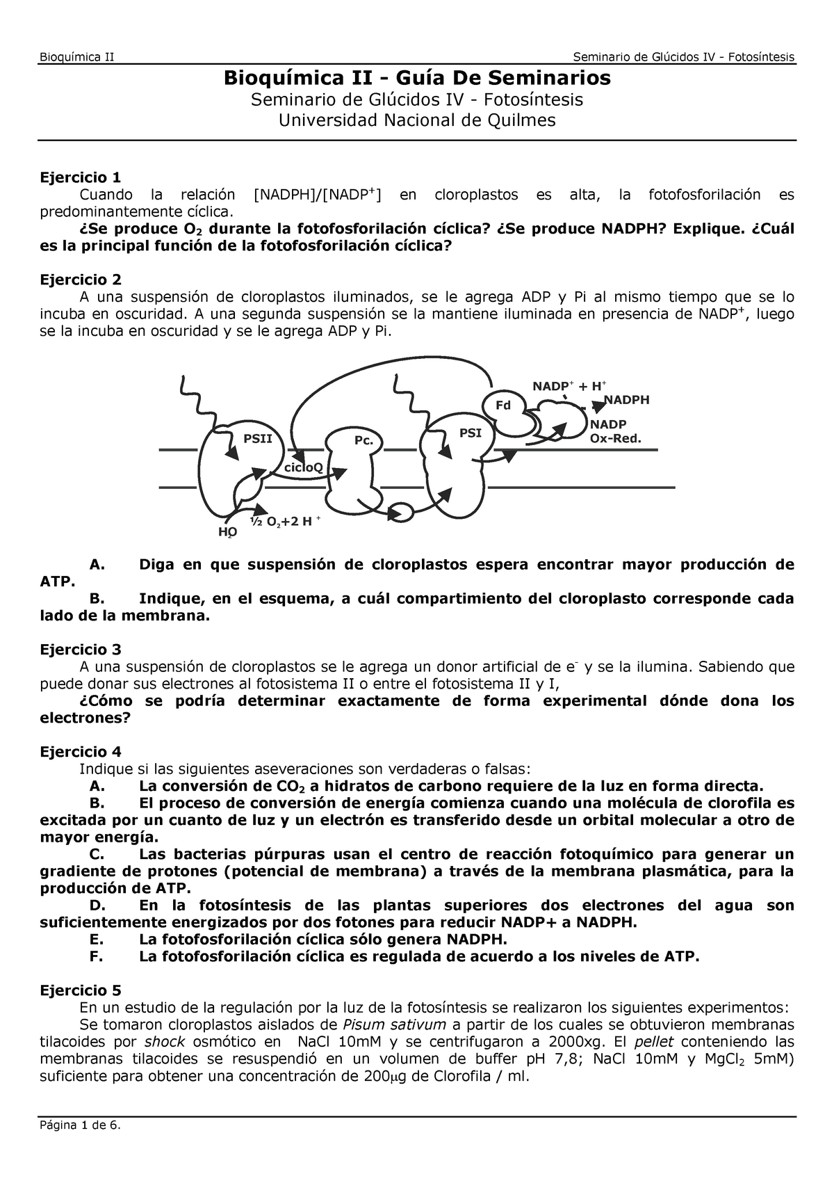 S05 Glu4 Guia De Problemas De Glucidos Iv Fotosintesis Studocu