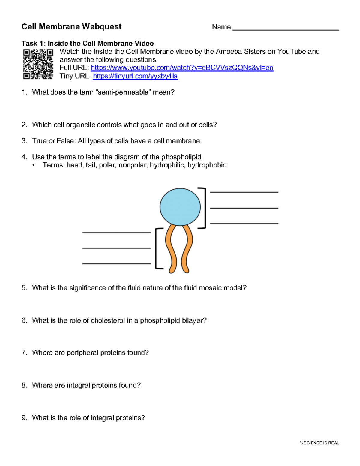 Cell Membrane quest Full URL youtube/watch?v=qBCVVszQQNs&vl=en