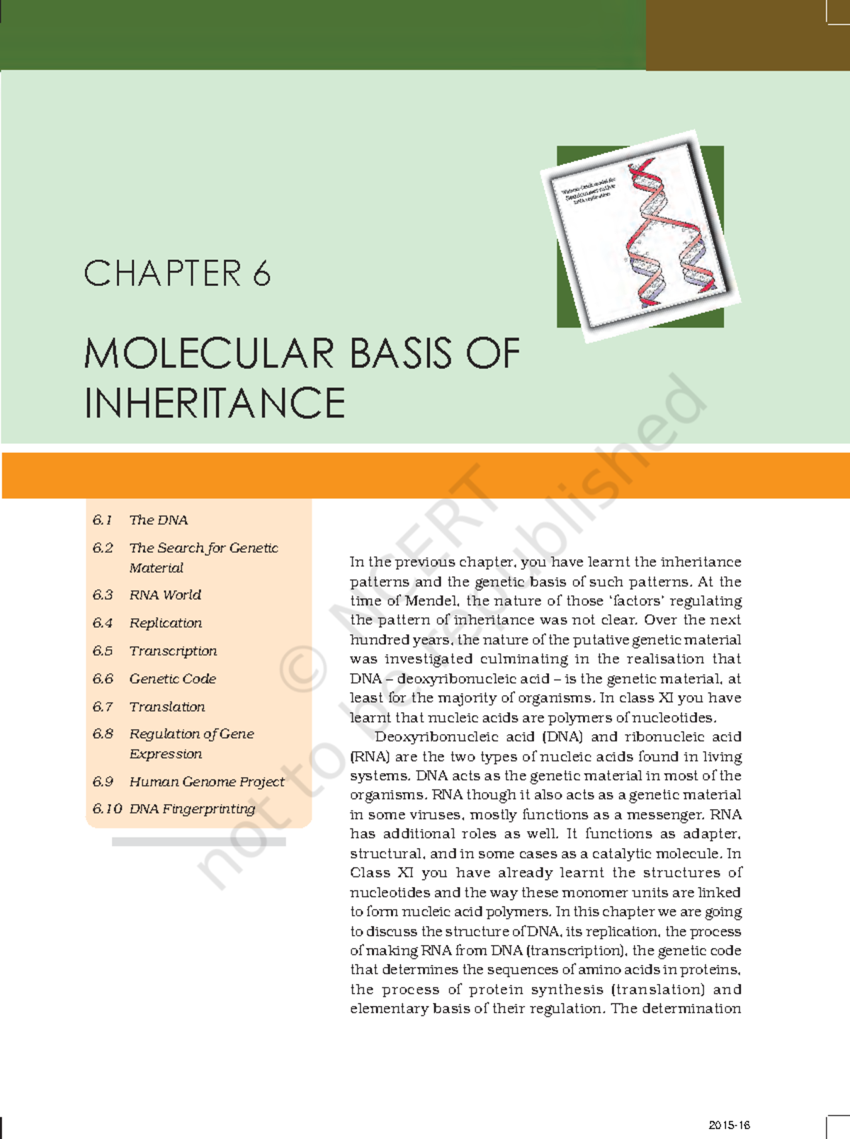Molecular Basis of Inheritance - CHAPTER 6 MOLECULAR BASIS OF ...