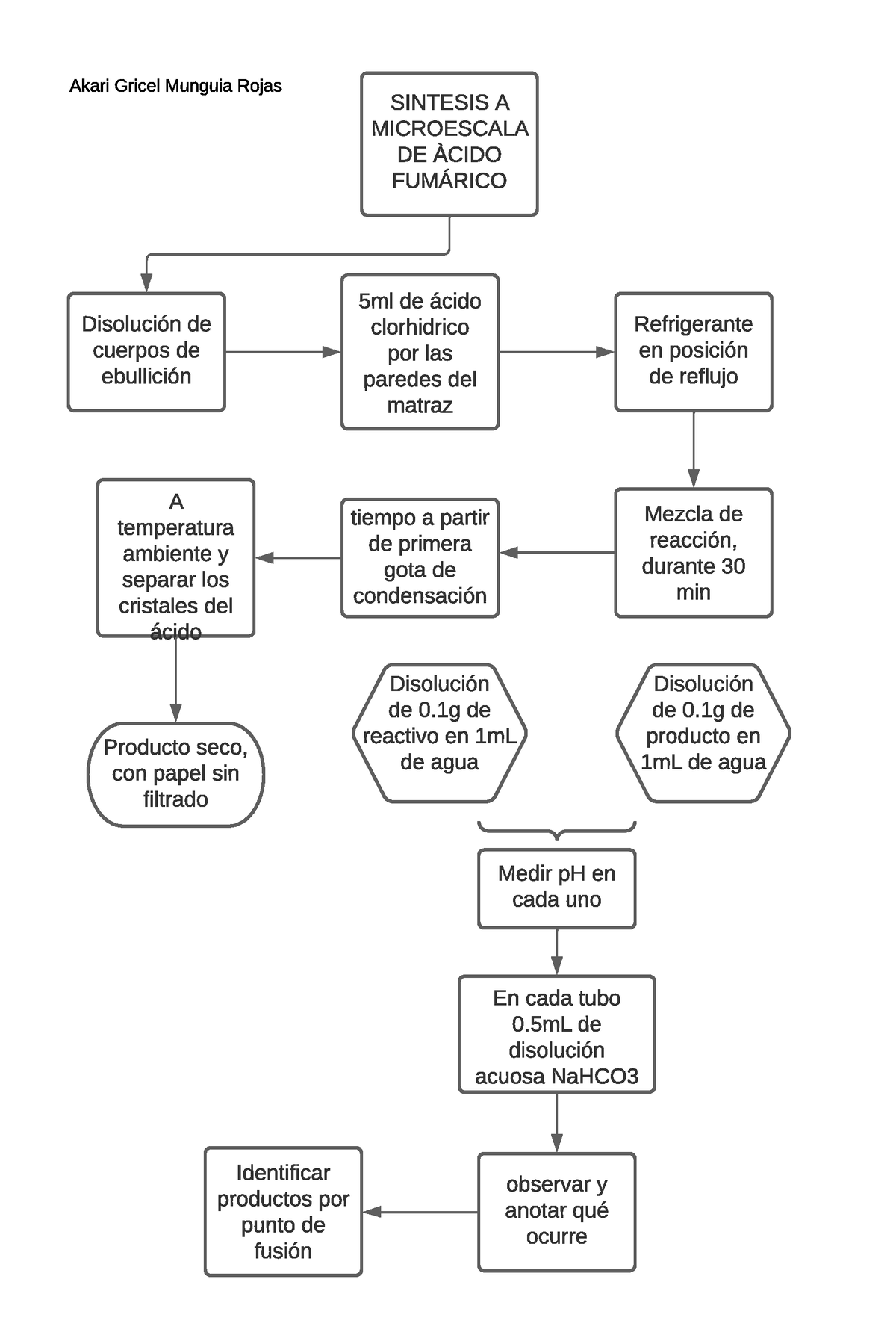 Practica Qo Diagrama De Flujo Sintesis A Microescala De Cido Sexiz Pix 0009