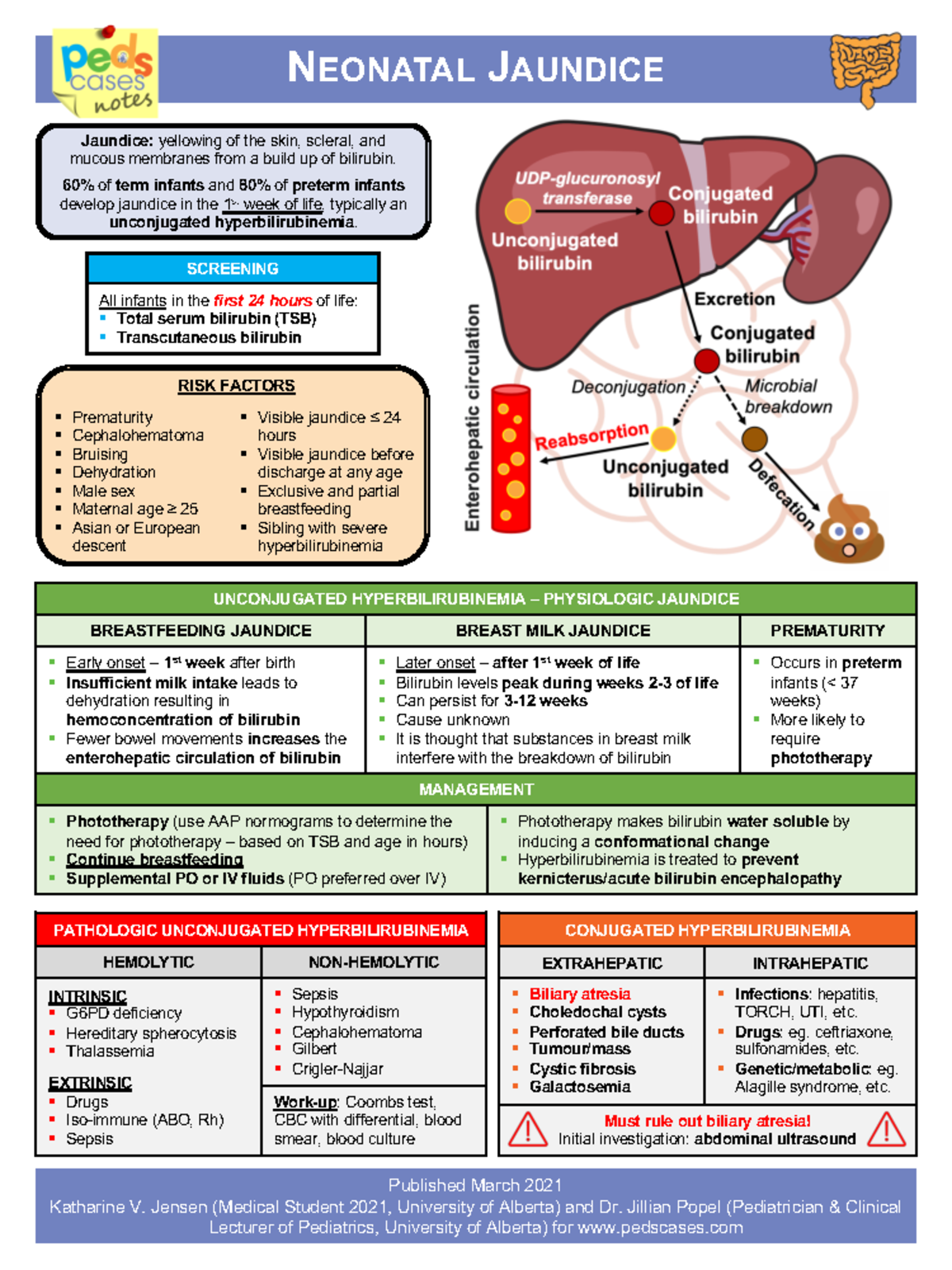 Neonatal Jaundice Note - RISK FACTORS § Prematurity § Cephalohematoma ...