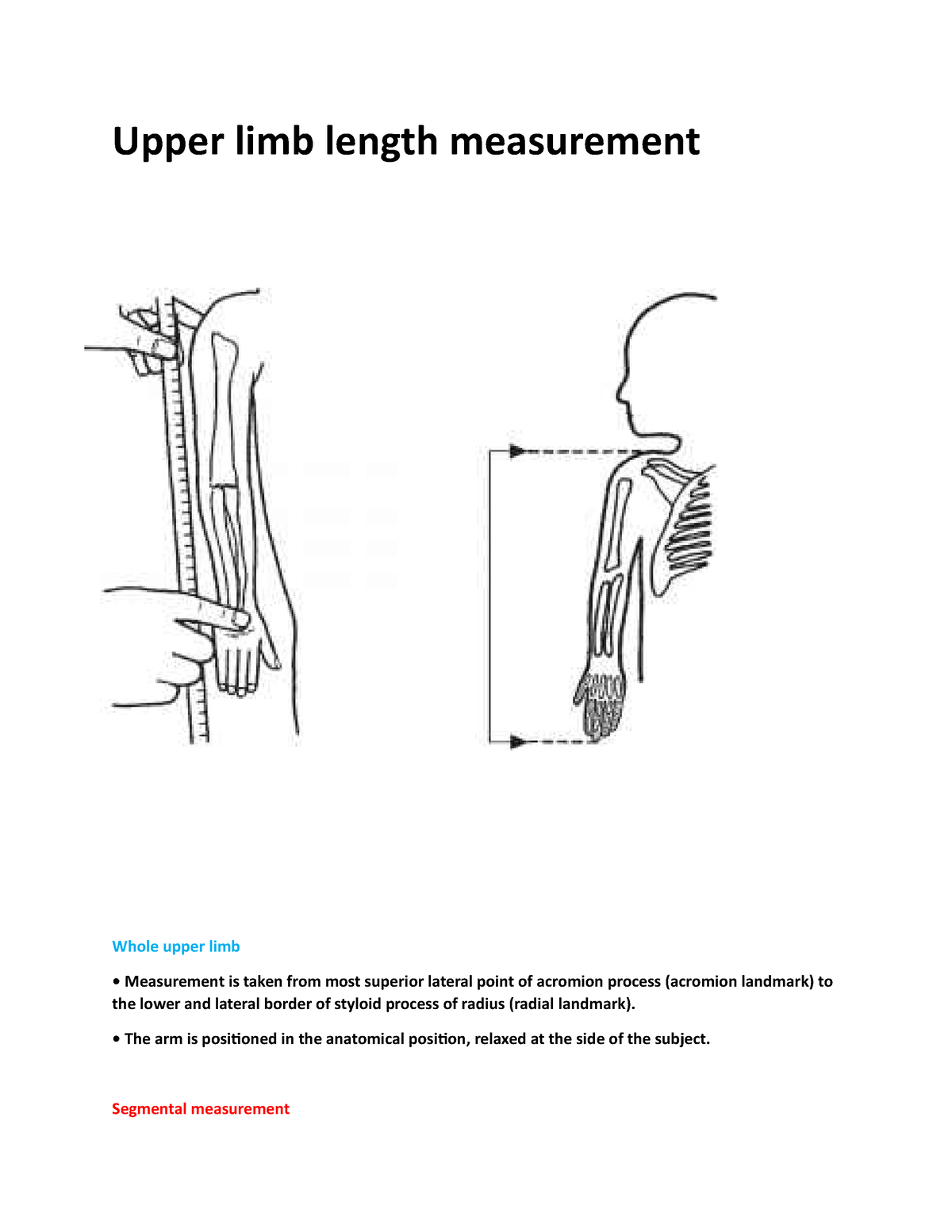 upper-extremity-length-upper-limb-length-measurement-whole-upper-limb