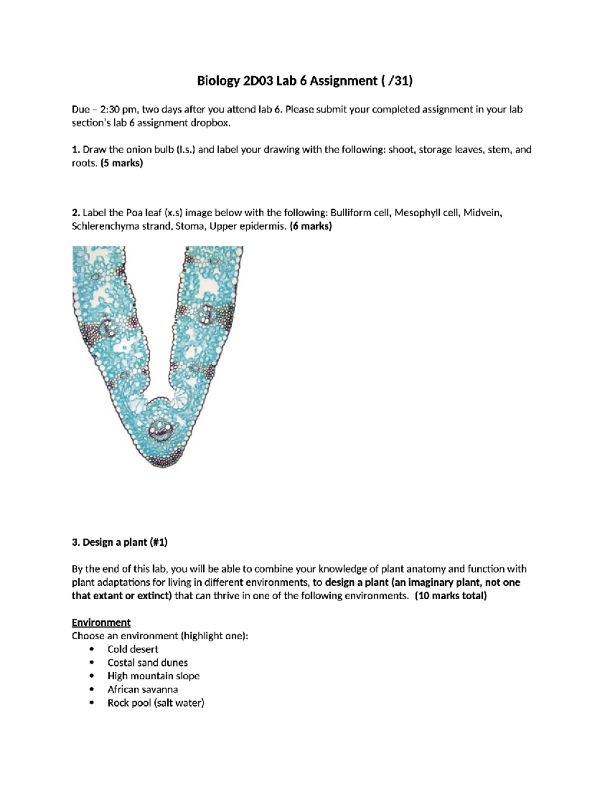 Biology 2D03 Lab 6 Assignment - Biology 2D03 Plant Biodiversity And ...