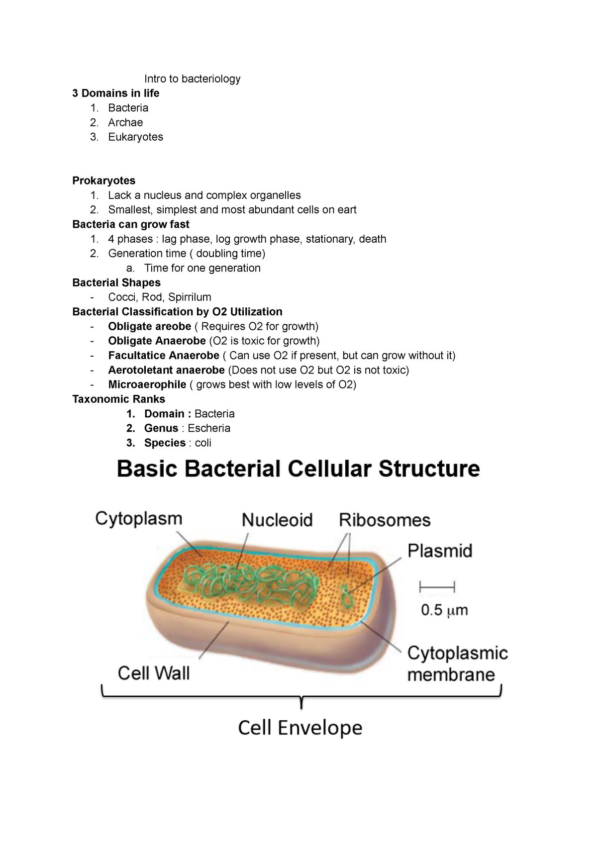 Intro To Bacteriology - Extra Notes For Final Exam - Intro To ...