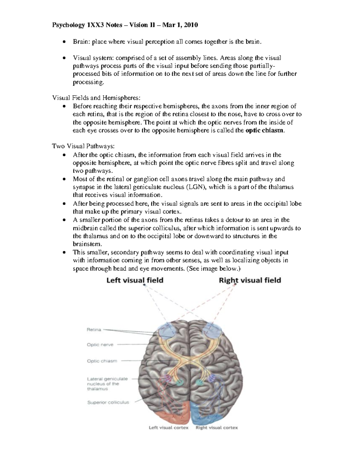 Lecture notes, Vision II - Psychology 1XX3 Notes – Vision II – Mar 1 ...