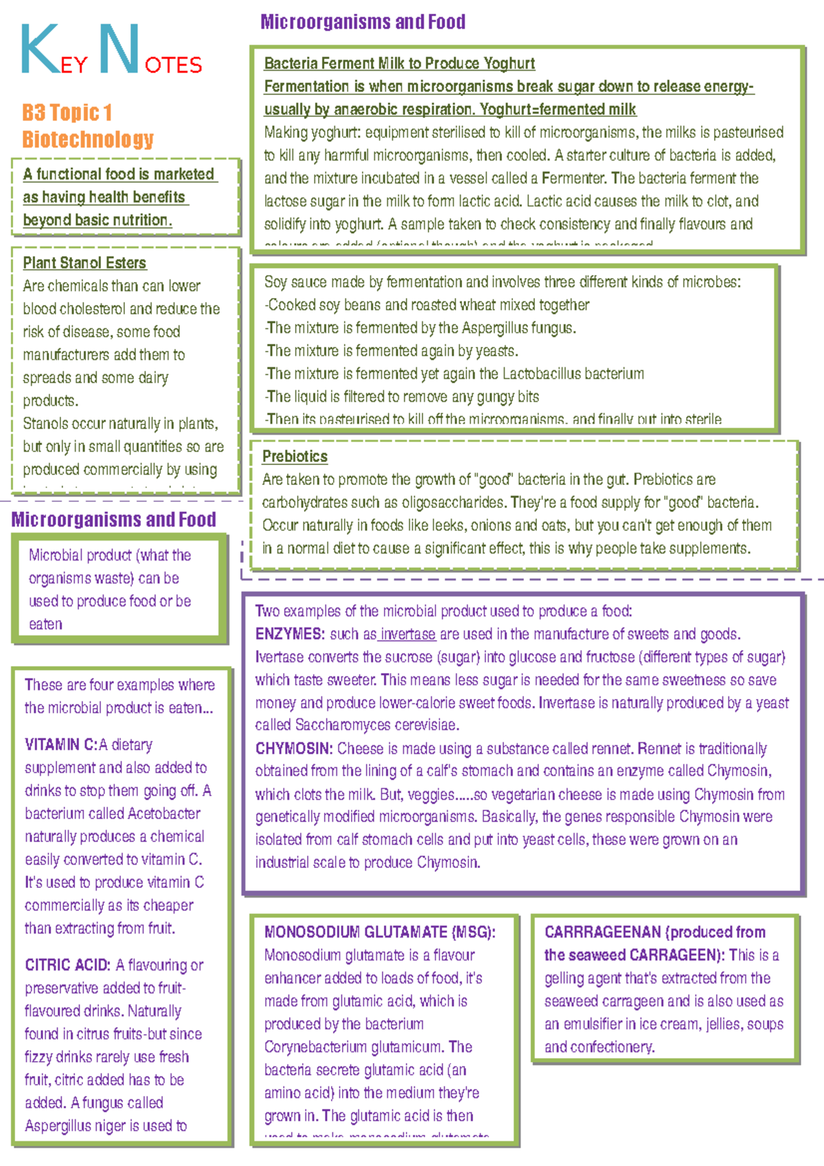 B3 Topic 1 Biotechnology - 1 Ch And Less Flexi Key Notes Bacteria 